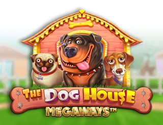 Dog House: Ghidul complet pentru slotul cu tematică de animale